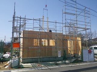 IMGP2297.jpg