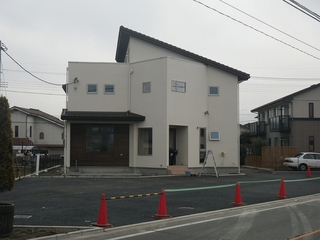 IMGP2191.jpg