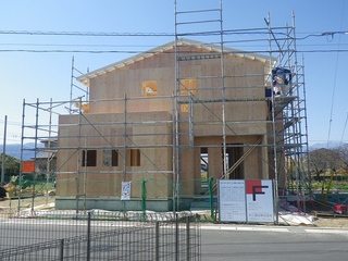 IMGP2302.jpg